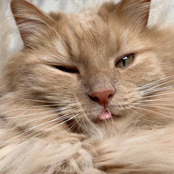 Hi there! 🤗 - Picture 1 of 1